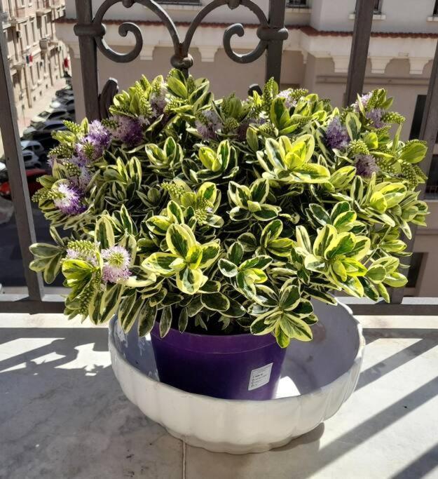 Casa Jole, Appartamento In Centro Bari Buitenkant foto